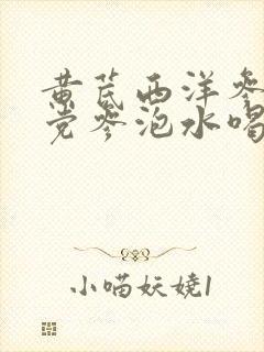 黄芪西洋参麦冬党参泡水喝的功效