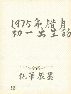 1975年腊月初一出生的兔命运
