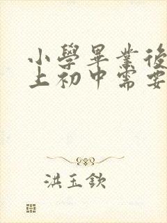小学毕业后转学上初中需要什么手续