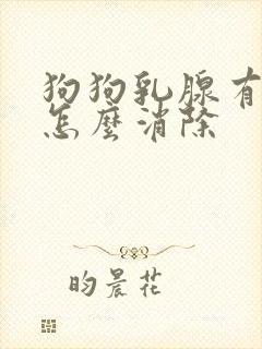 狗狗乳腺有肿块怎么消除