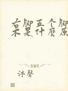右脚五个脚趾麻木是什么原因