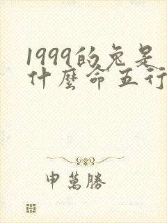 1999的兔是什么命五行属什么