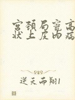 宫颈局灶高度鳞状上皮内病变