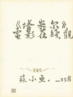 《塔米尔》印度电影在线观看封面