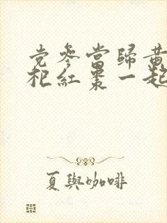 党参当归黄芪枸杞红枣一起吃的功效与作用