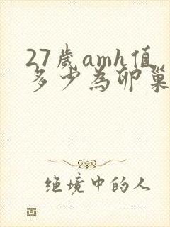 27岁amh值多少为卵巢早衰