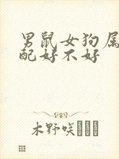 男鼠女狗属相婚配好不好封面