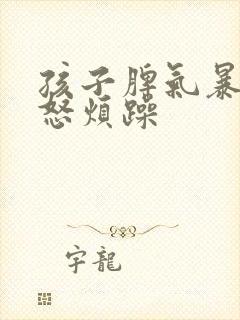孩子脾气暴躁易怒烦躁