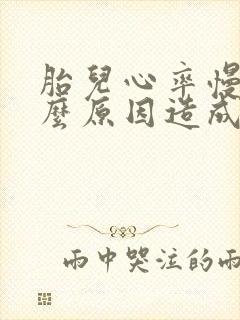胎儿心率慢是什么原因造成