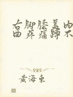 右脚膝盖内侧弯曲疼痛蹲不了封面