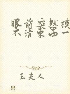 眼前突然模糊看不清东西一会就好了