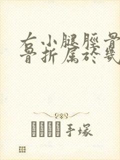 右小腿胫骨腓骨骨折属于几级伤残封面