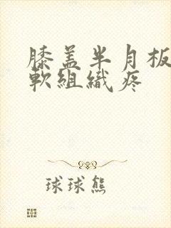 膝盖半月板下面软组织疼