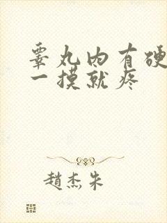 睾丸内有硬疙瘩一摸就疼