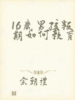 16岁男孩叛逆期如何教育