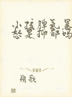 小孩脾气暴躁易怒是抑郁吗封面
