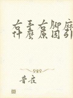 右手右脚麻木是什么原因引起的