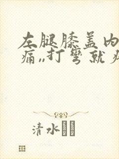 左腿膝盖内侧疼痛,,打弯就疼,为什么