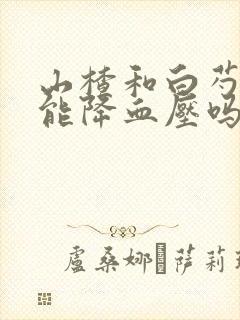 山楂和白芍泡水能降血压吗