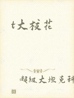 t大校花