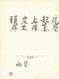 头皮上起疙瘩又疼又痒怎么回事封面