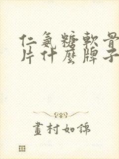 仁氨糖软骨素钙片什么牌子好