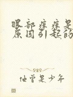 眼部痒痒是什么原因引起的