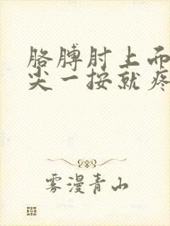 胳膊肘上面骨头尖一按就疼
