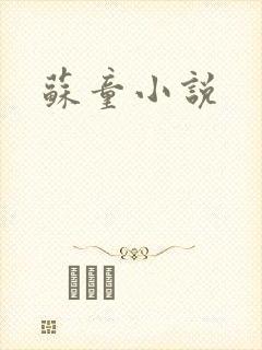 苏童小说