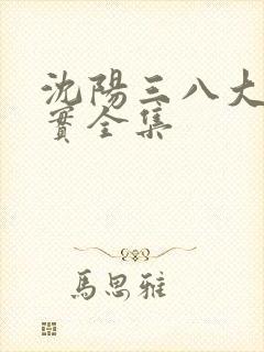 沈阳三八大案纪实全集