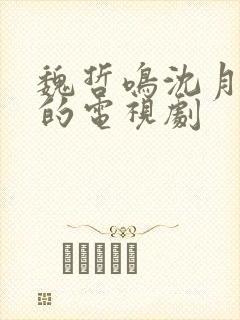 魏哲鸣沈月主演的电视剧