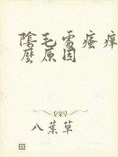 阴毛处瘙痒是什么原因