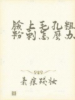 脸上毛孔粗大有粉刺怎么办