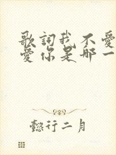 歌词我不爱你谁爱你是哪一首歌封面