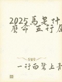 2025马是什么命 五行属什么