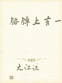 胳膊上有一块癣封面