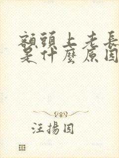 额头上老长痘痘是什么原因封面