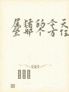 属猪的今天打牌坐哪个方位