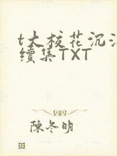 t大校花沉浮录续集TXT