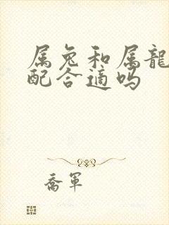 属兔和属龙的婚配合适吗封面