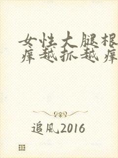 女性大腿根部瘙痒越抓越痒