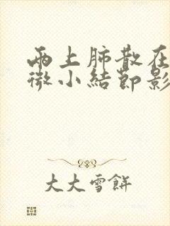 两上肺散在多发微小结节影