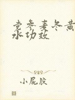 党参麦冬黄芪泡水功效
