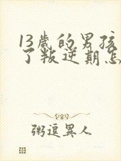 13岁的男孩到了叛逆期怎麽教封面