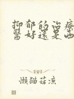 抑郁的治疗是中医好还是西医好
