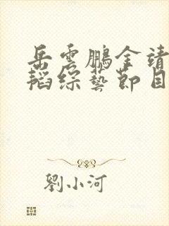 岳云鹏金靖黄子韬综艺节目