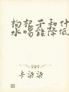 枸杞子和什么泡水喝能降低血压血糖