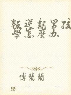 叛逆期男孩子厌学怎么办