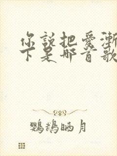 你说把爱渐渐放下是哪首歌的歌词