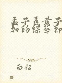 孟子义黄子韬参加的综艺节目叫什么